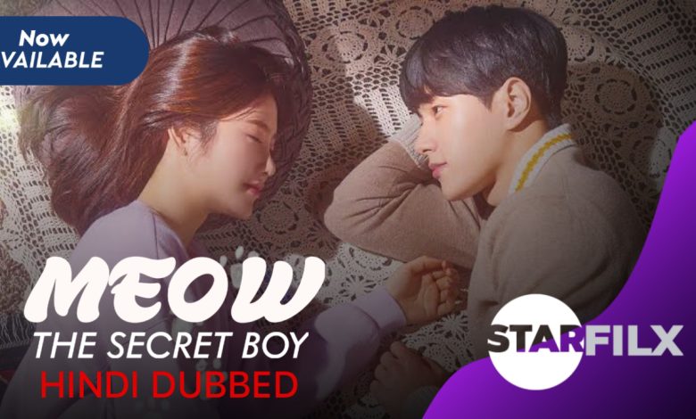 Meow, the Secret Boy (hindi dub ) | STARFILX | Compete 1 1638282991945444 0