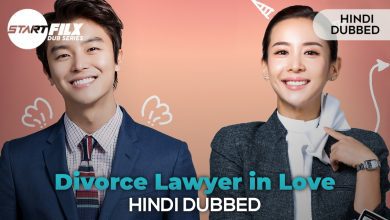 Divorce Lawyer in Love